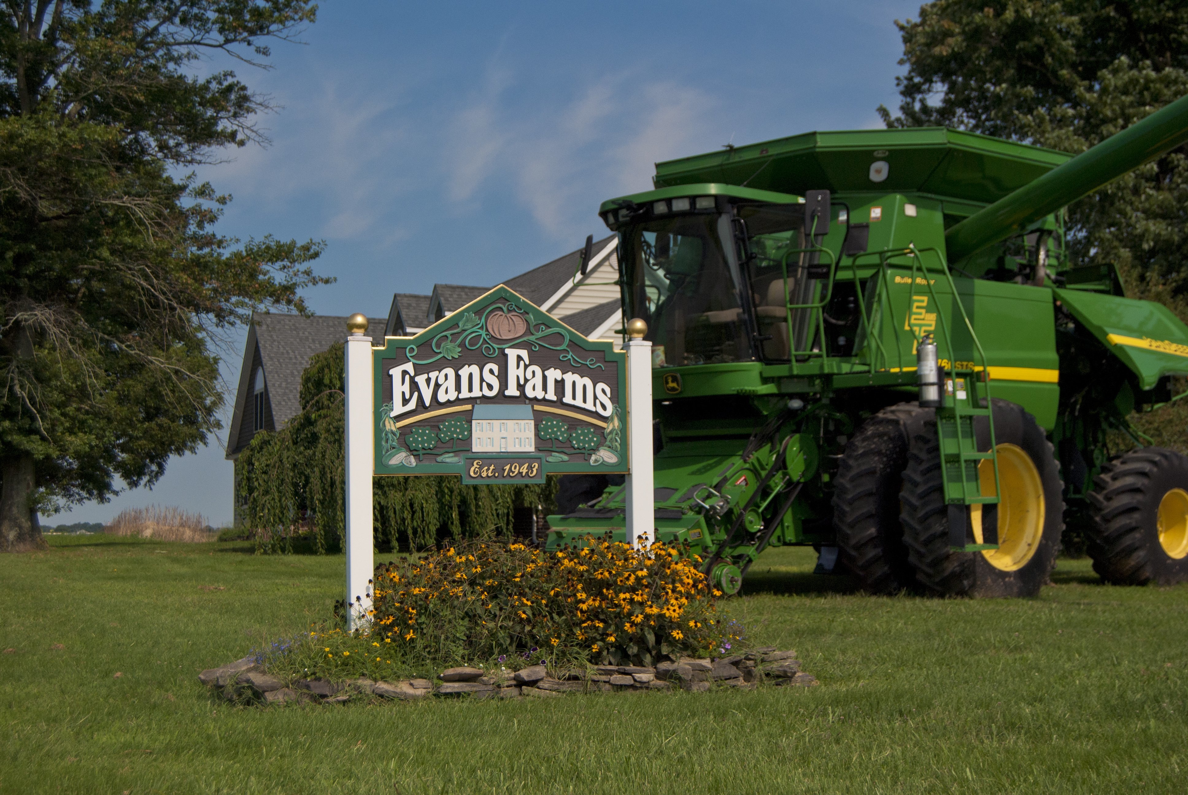 Farm to Cup Ice Cream, Sorbet, 'Nice Cream' and More at The Frozen