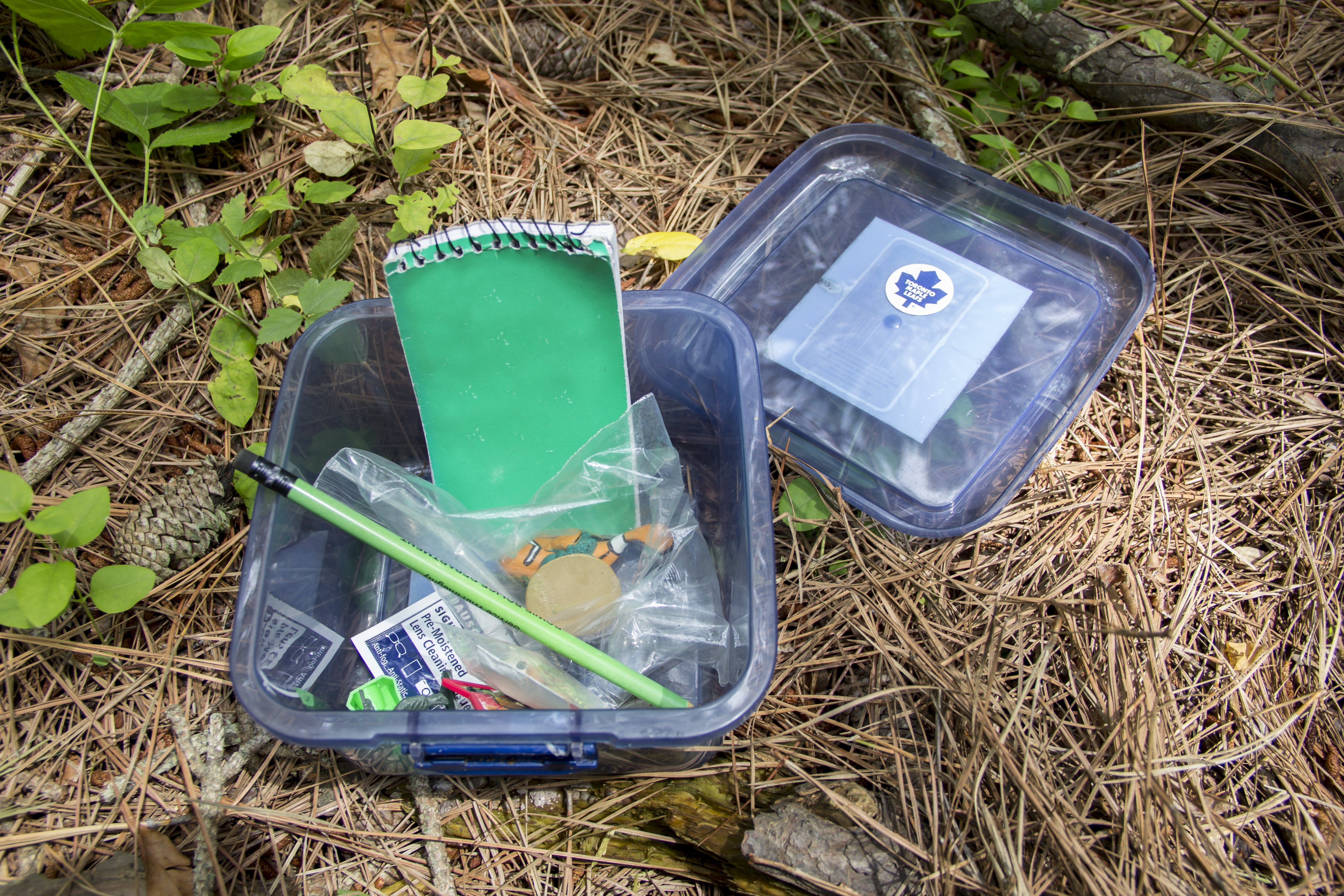 Geocaching Our Way Around Delmarva Shorebread