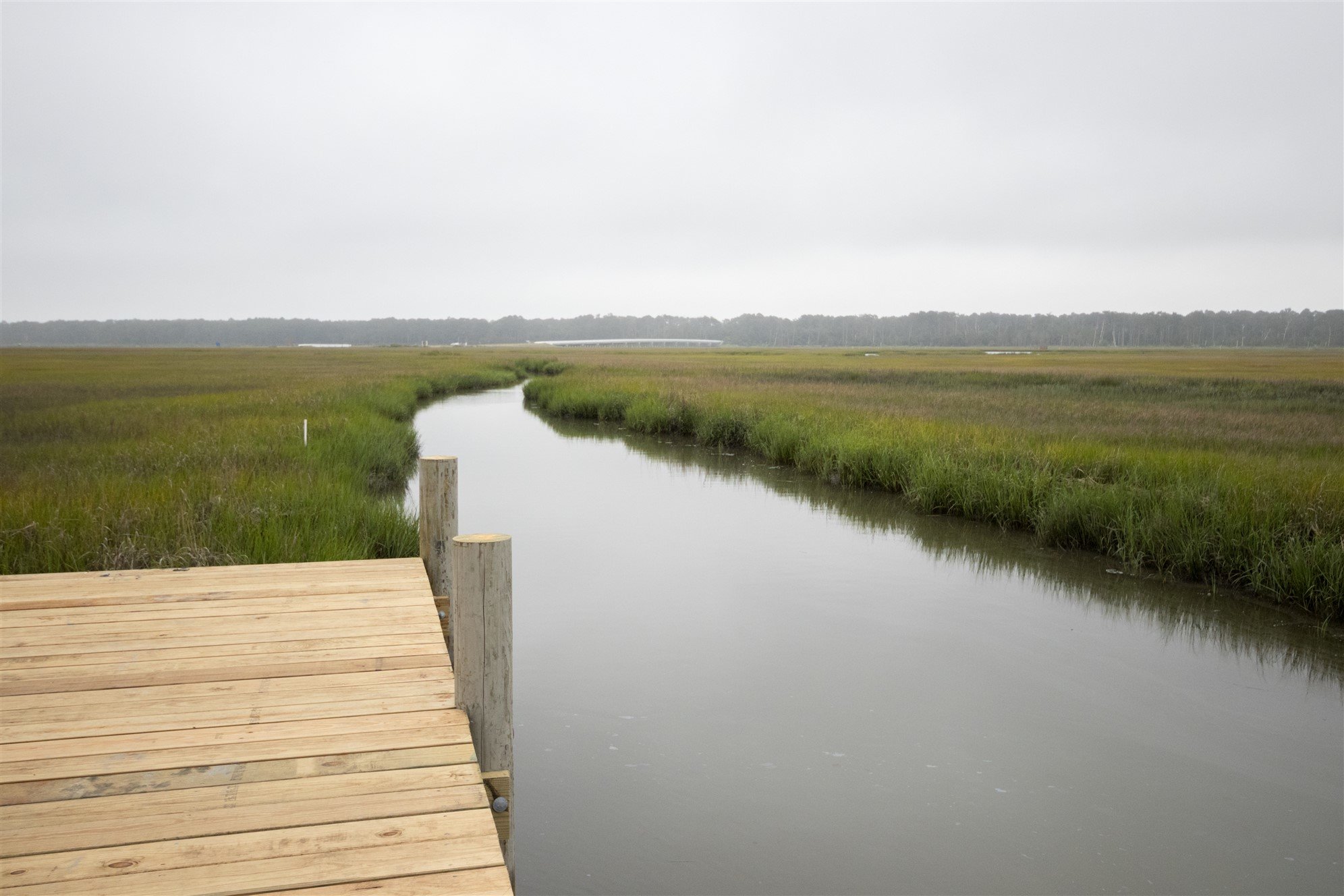 First Look Chincoteague Island KOA Shorebread