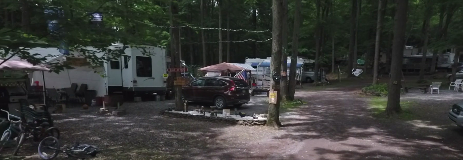 Stay With Us Header Shore Forest Campground