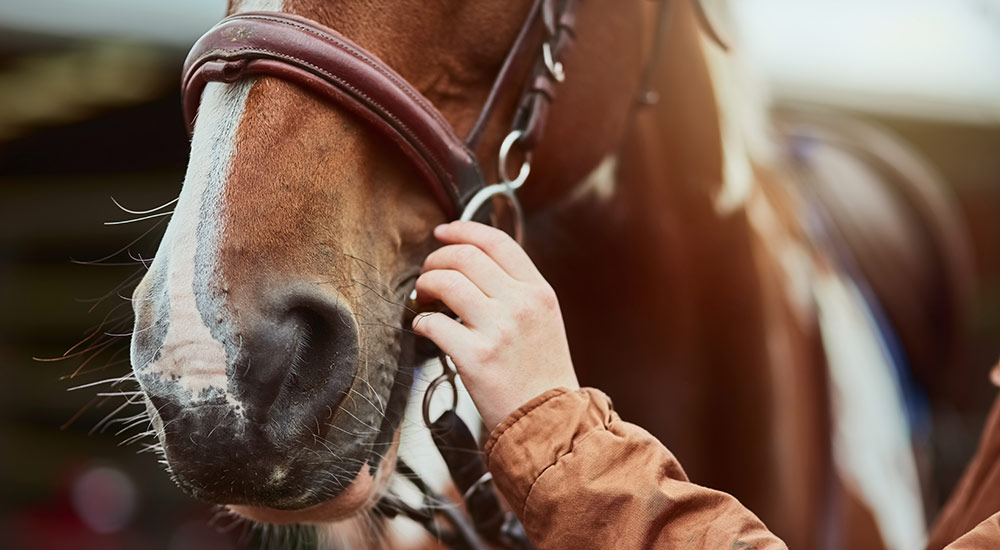 Spring Idaho Adventures in McCall Idaho Shore Lodge