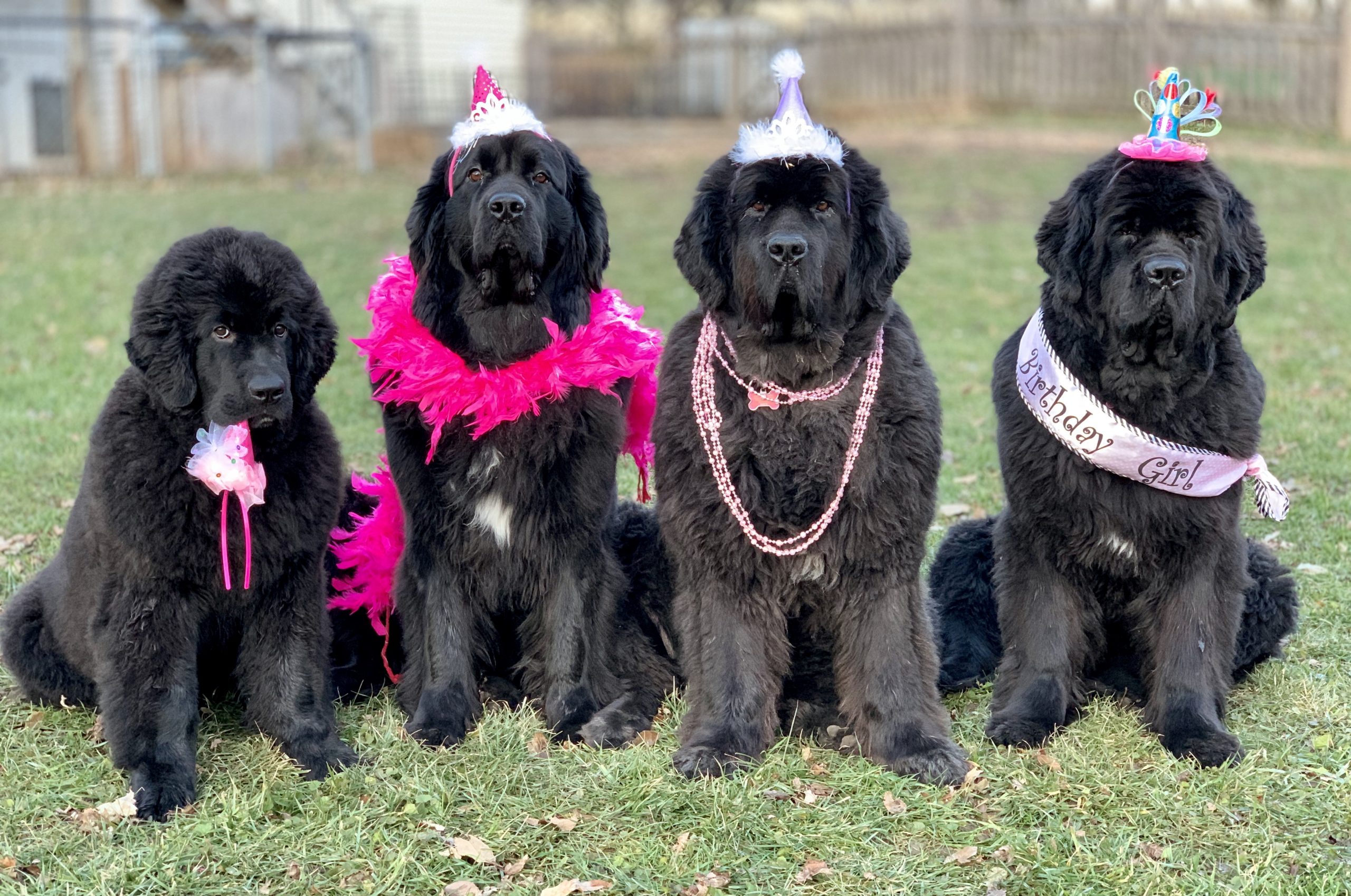 Family -Living Life… | Shorepath