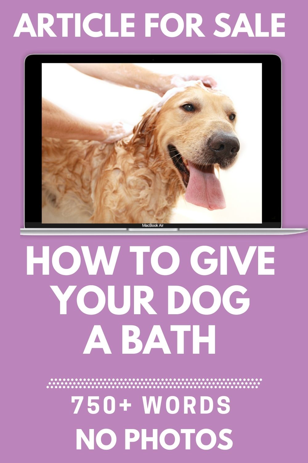 How to Give your Dog a Bath