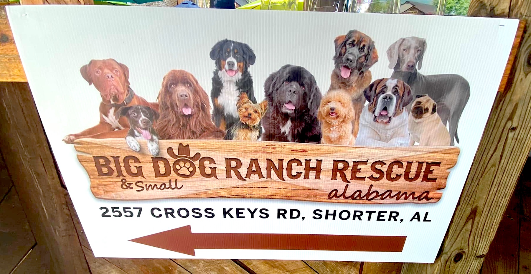 Big Dog Ranch Rescue Town of Shorter
