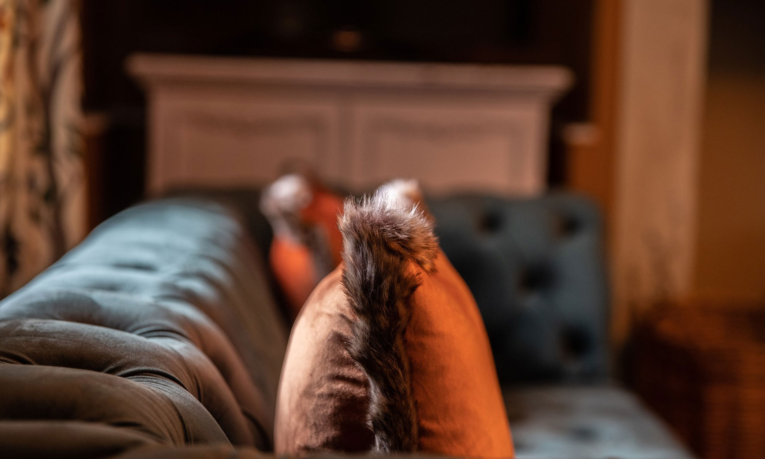 Keepers Cottage Shortflatt Tower