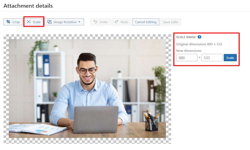Everything You Need to Know About WordPress Image Sizes