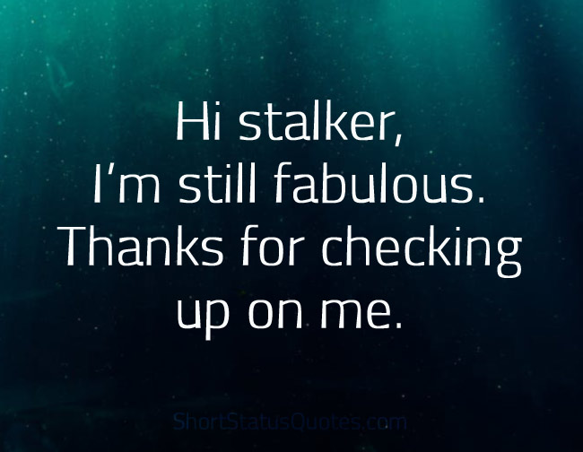 Instagram Haters Quotes Funny bmpflow