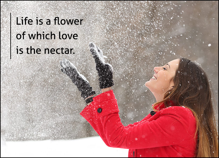 Flower Status Short Quotes on Flower for Facebook Whatsapp