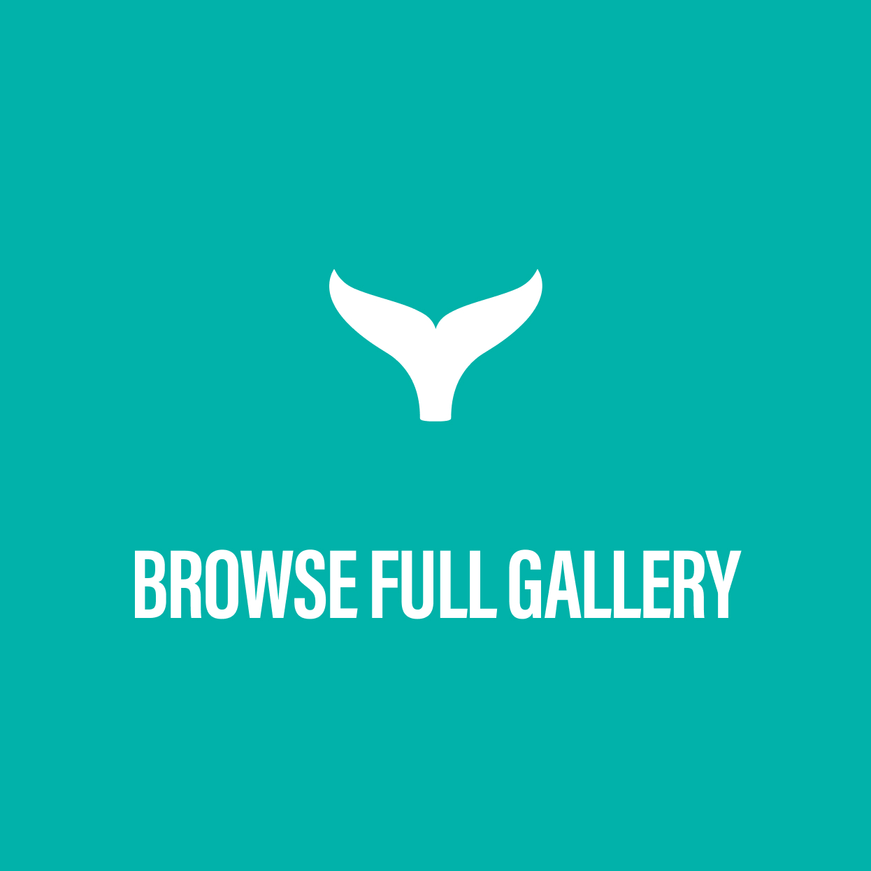 Shorty Awards Winners List 2023 The Shorty Awards