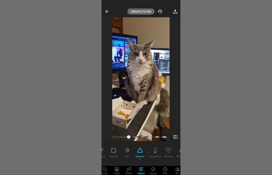 16 Apps To Fix Blurry Photos in 2022 (Free & Paid)