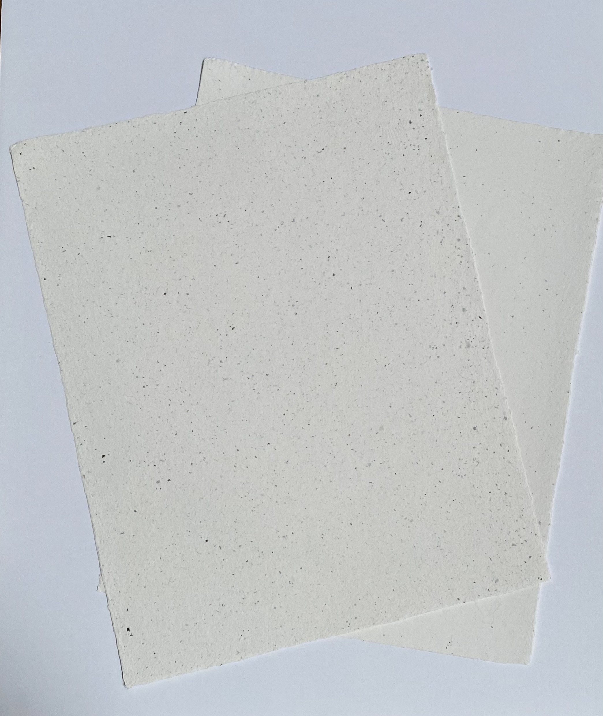 Seaweed Paper « Shotwell Paper Mill