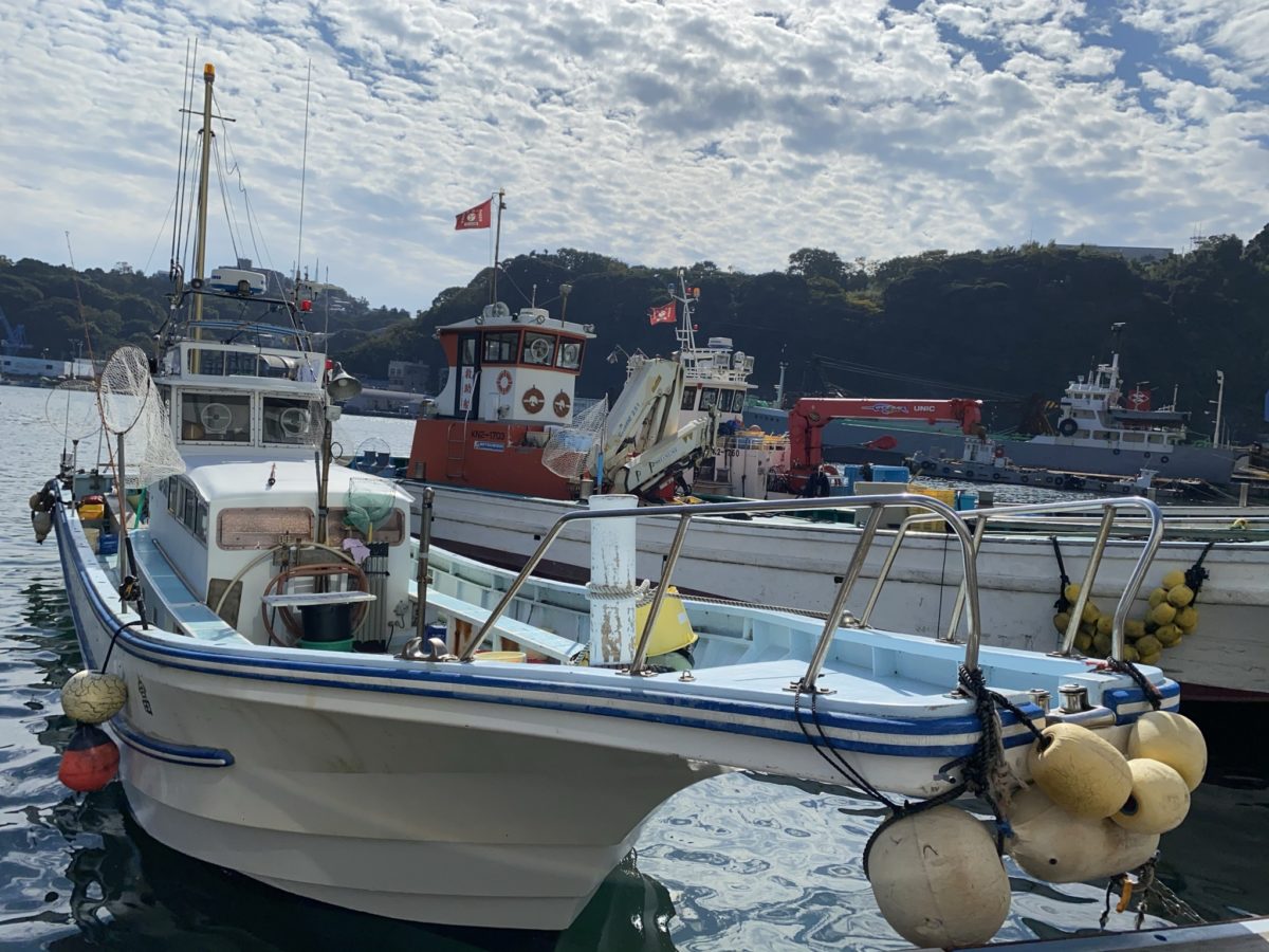 イワシの泳がせ釣り（2020年11月08日・釣り船（真鶴港富丸）） shoukiblog