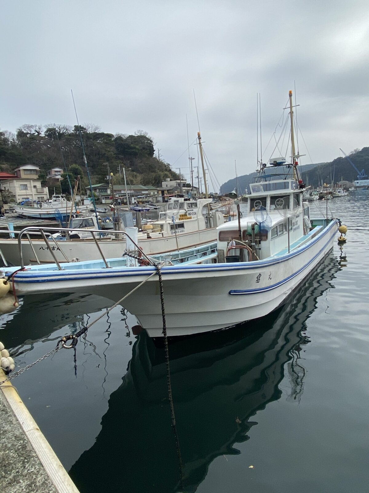 イワシの泳がせ釣り（2021年3月6日・釣り船（真鶴港富丸）） shoukiblog