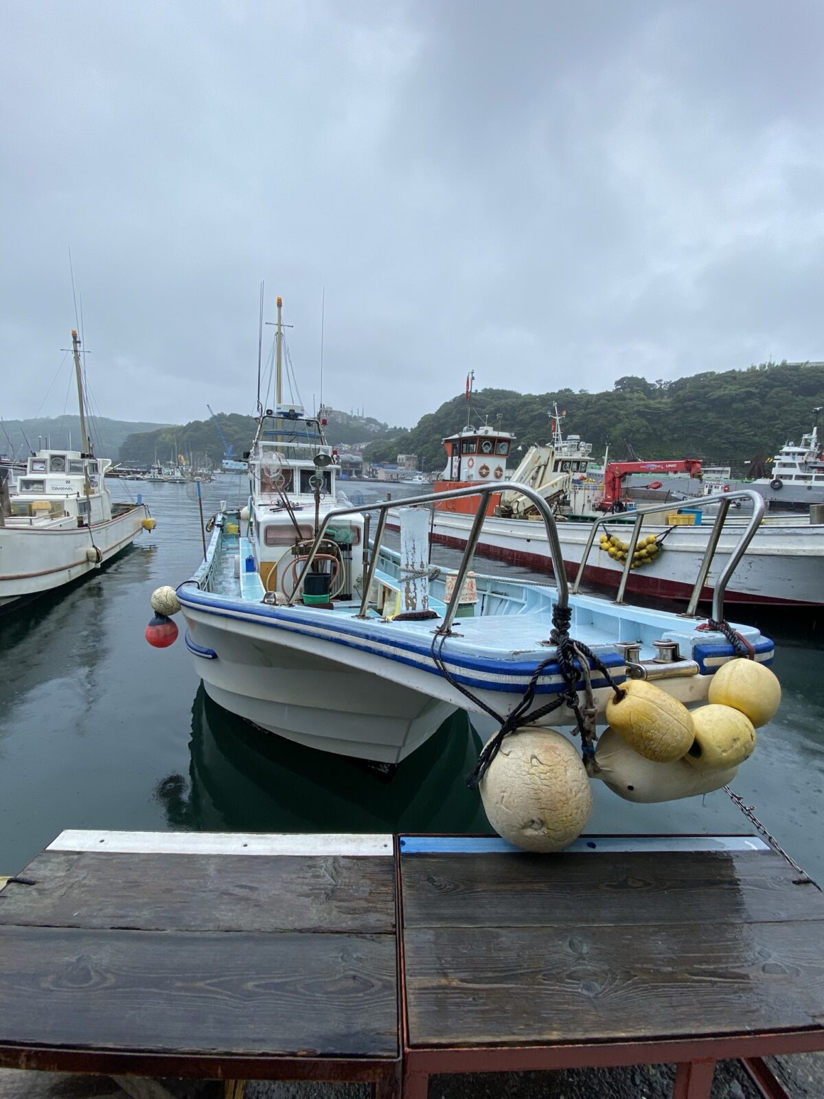 アカムツ釣り（2021年6月19日・釣り船（真鶴港富丸）） shoukiblog