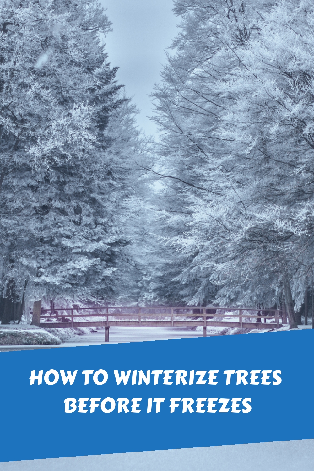 How To Winterize Trees Before It Freezes Shouse Life