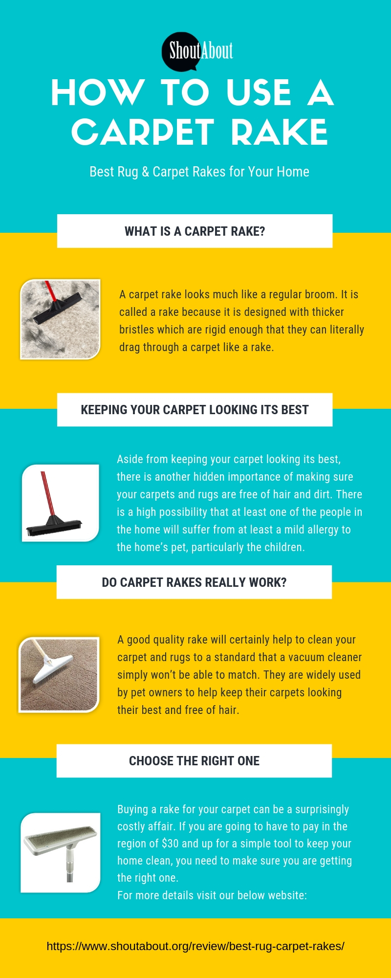 How to Use a Carpet Rake Site Title
