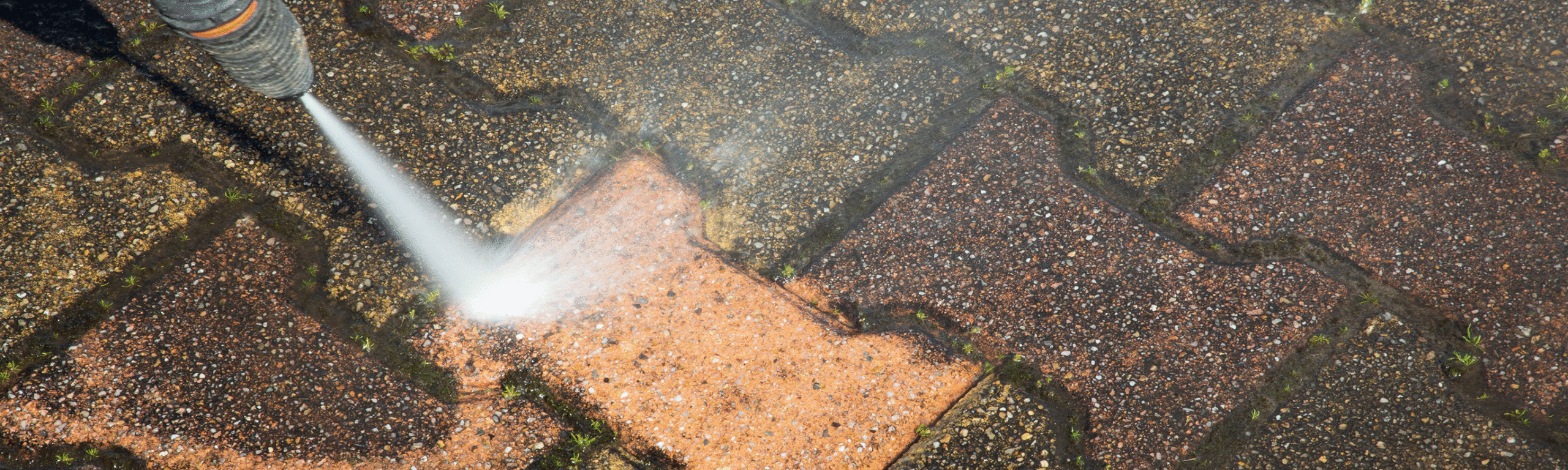 site Design for Indiana Cleaning & Sealing Shout It Out Design