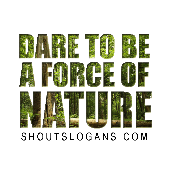 Save the Rainforest slogans and sayings