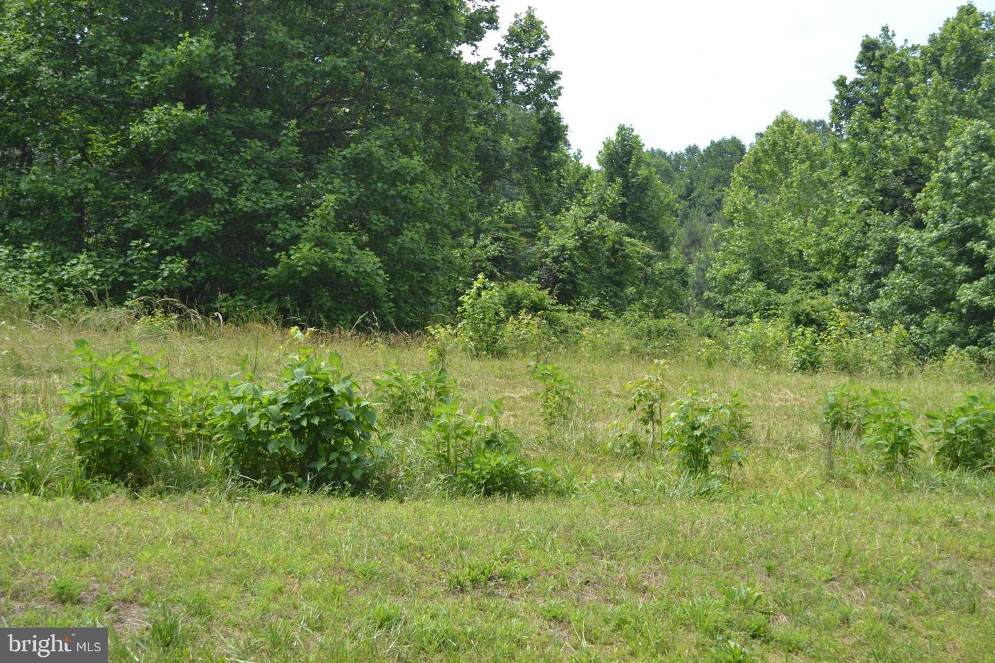 4135 Willows Road, Chesapeake Beach MD Showalter Properties