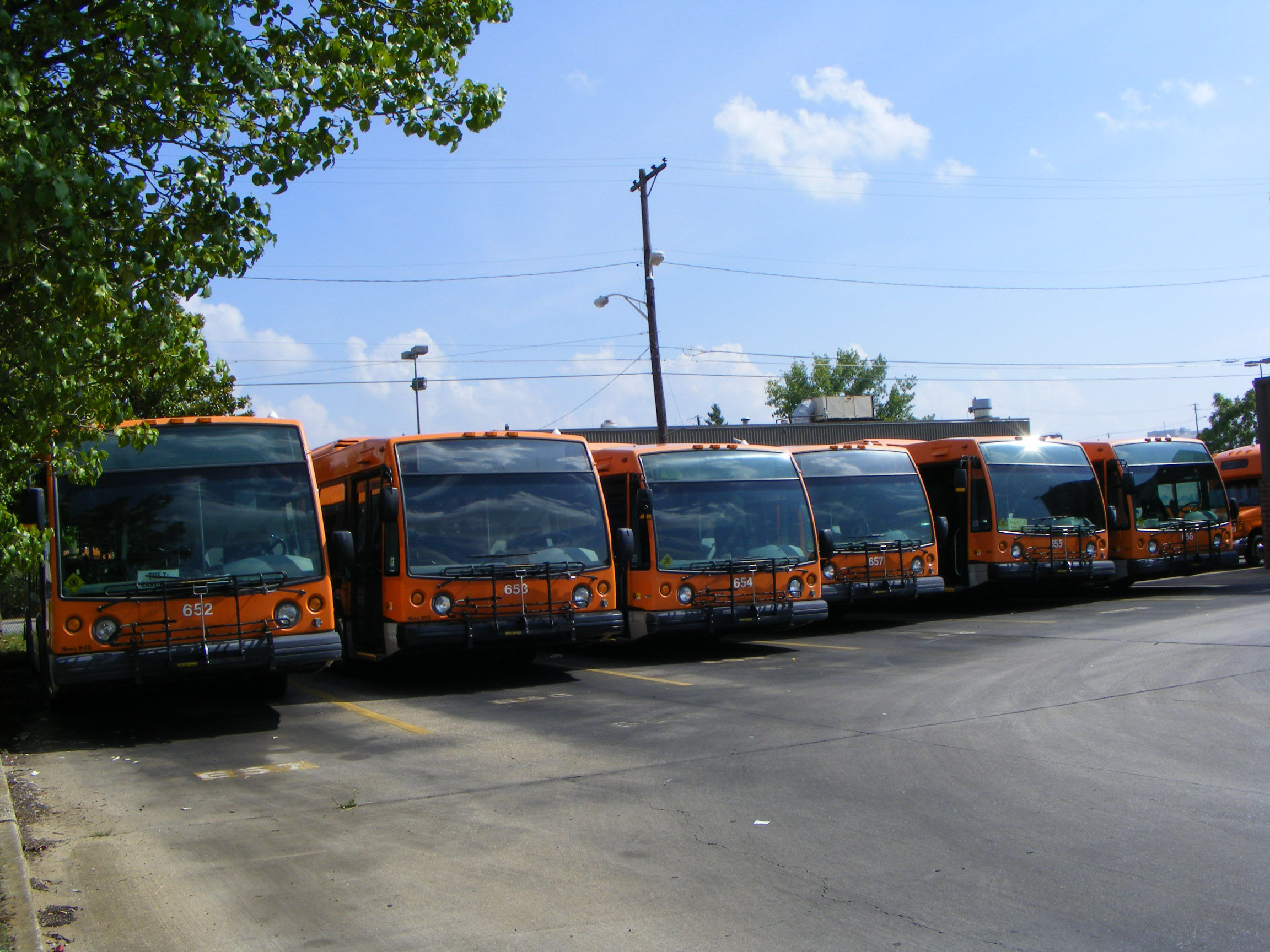 KAT SHOWBUS AMERIVA BUS IMAGE GALLERY USA Knoxville Area Transit