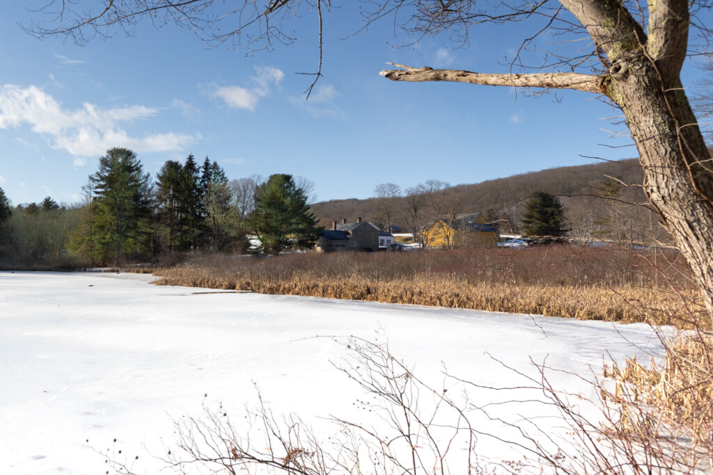 Middlebury Showcase Realty Inc.