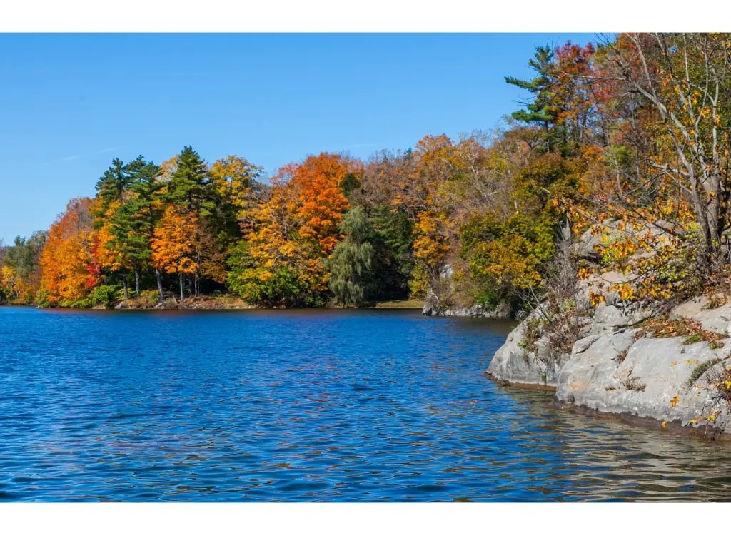 Showcase Realty Inc. John Donato Jr. Real State Agent Broker