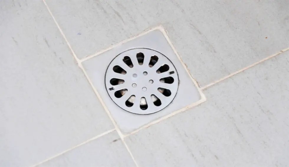 HowToGetRidOfDrainWorm Shower Maestro