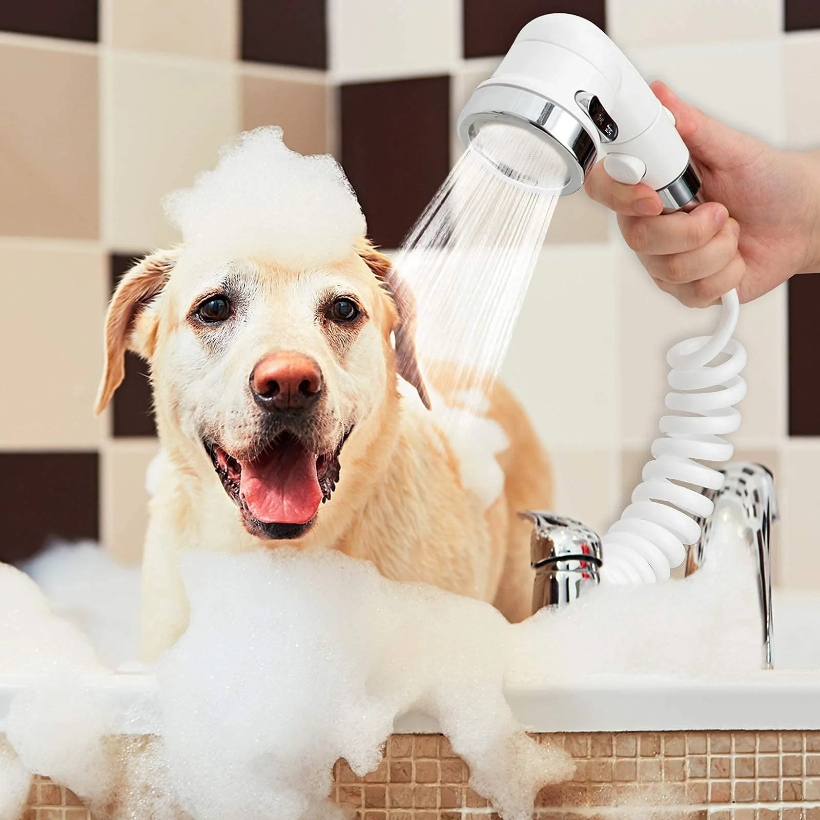 7 Best Shower Heads For Dogs 2023 [Top Of Chart Picks] Shower Sight