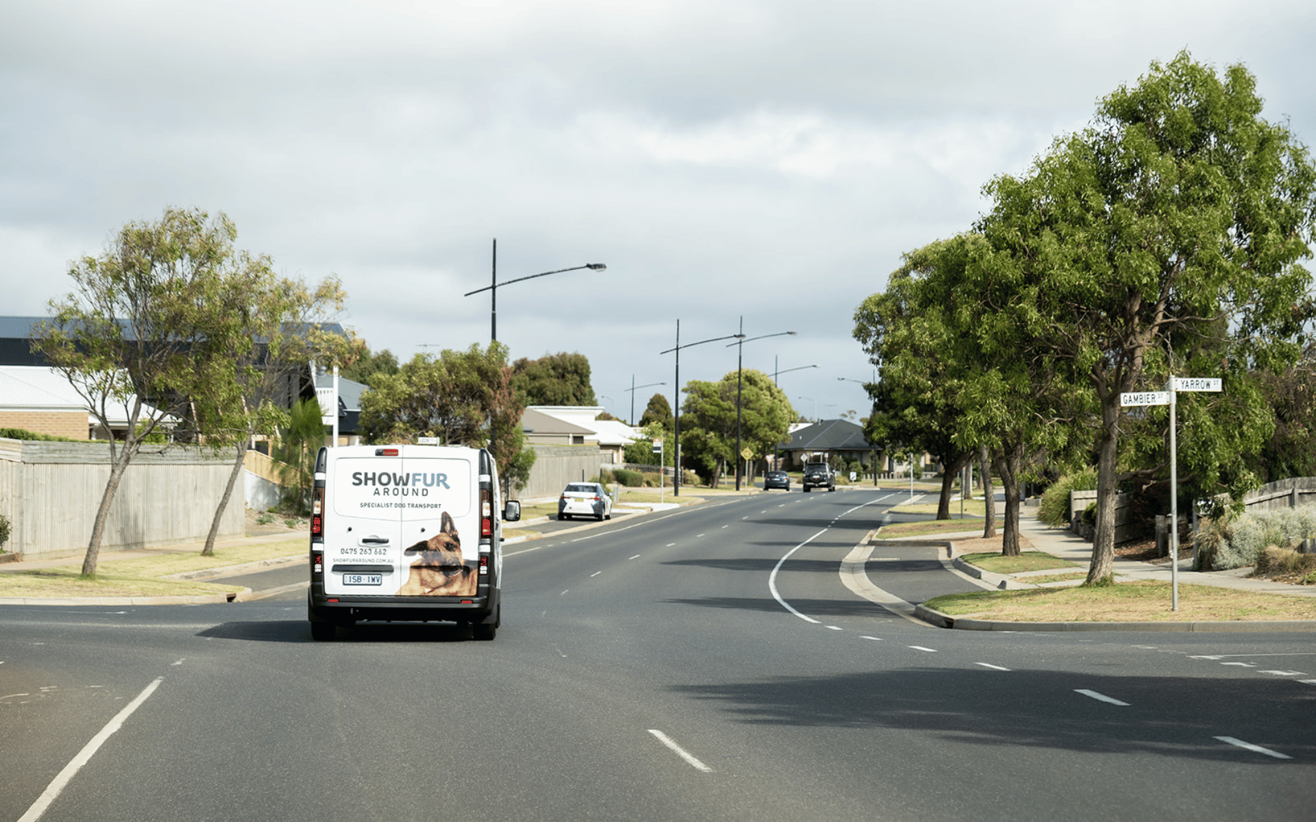 Dog Transport Service Geelong, Bellarine Peninsula, Surf Coast