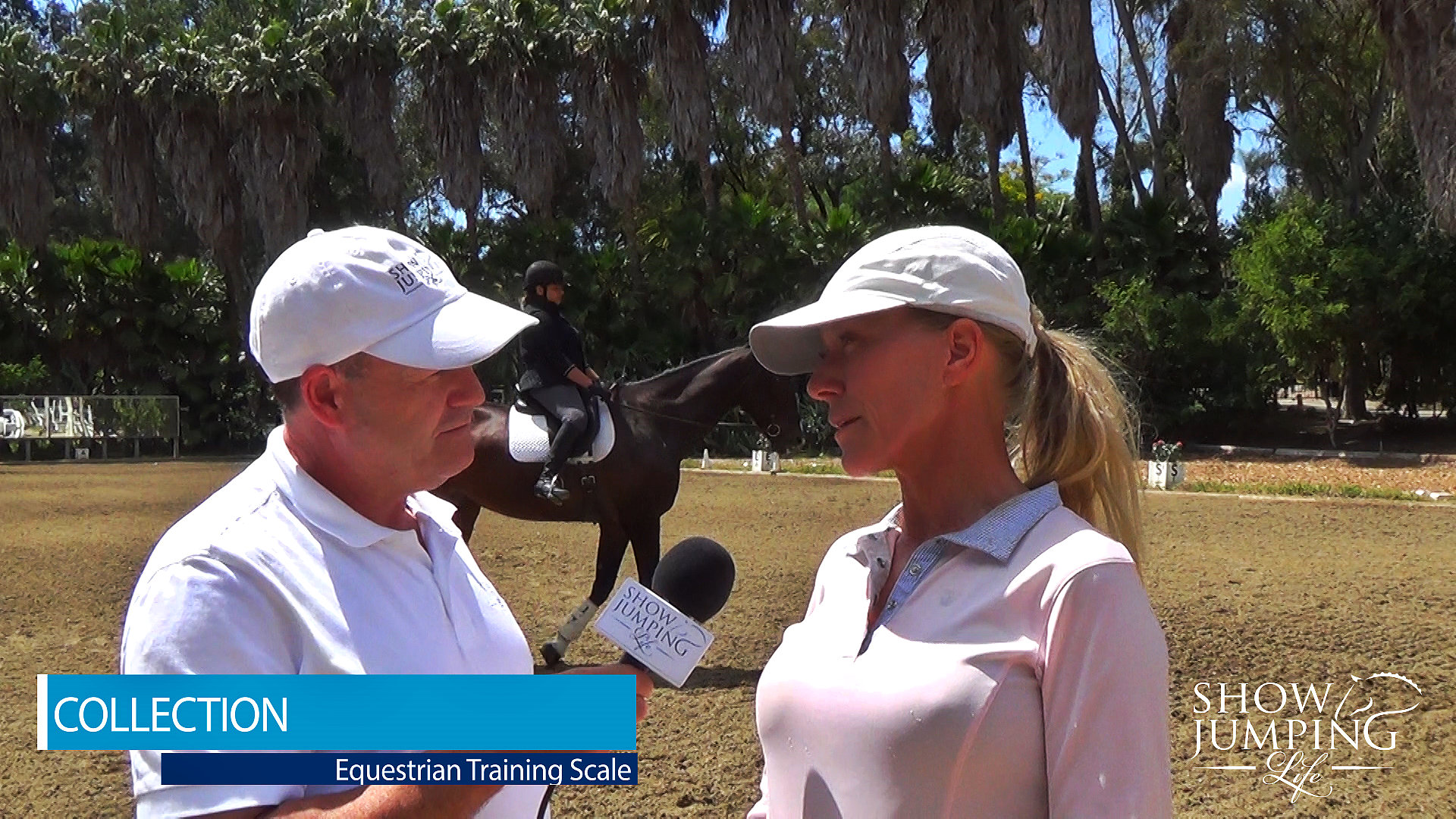 Equestrian Training Scale Collection Video Show Jumping Life