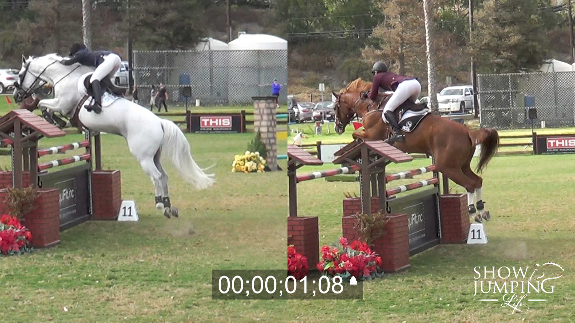 Watch! Split Screen JumpOff Show Jumping Life