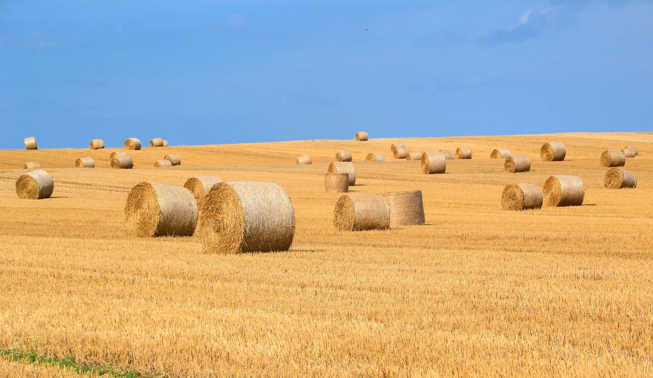 How Has Technology Changed Farming? | Cape Town