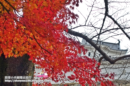 【日本。關西、姬路。楓紅】姬路城的楓紅有夠美!