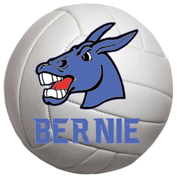 Bernie 7th and 8th Grade Volleyball Tournament