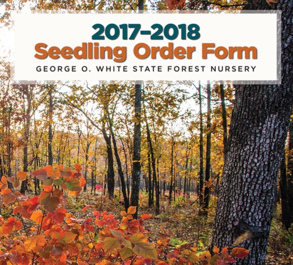 Buy Native Trees and Shrubs from MDC State Forest Nursery