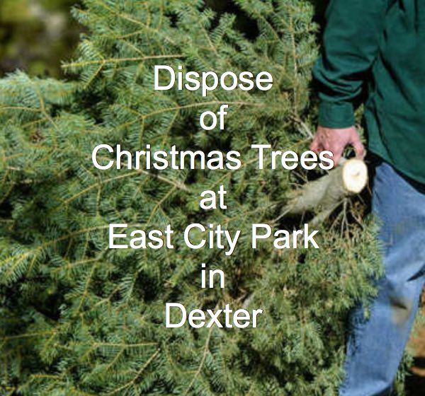 Dispose of "Real" Christmas Trees at East City Park