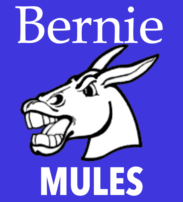 2021 Bernie Varsity Boys Basketball 8 Team Consolation Tournament Seeds