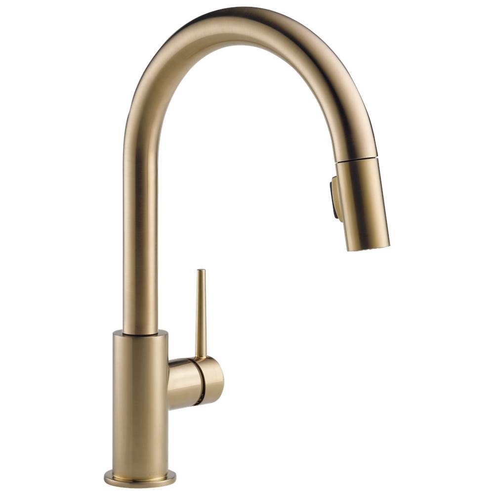 Delta Faucet 9159CZDST at Gateway Supply Decorative plumbing