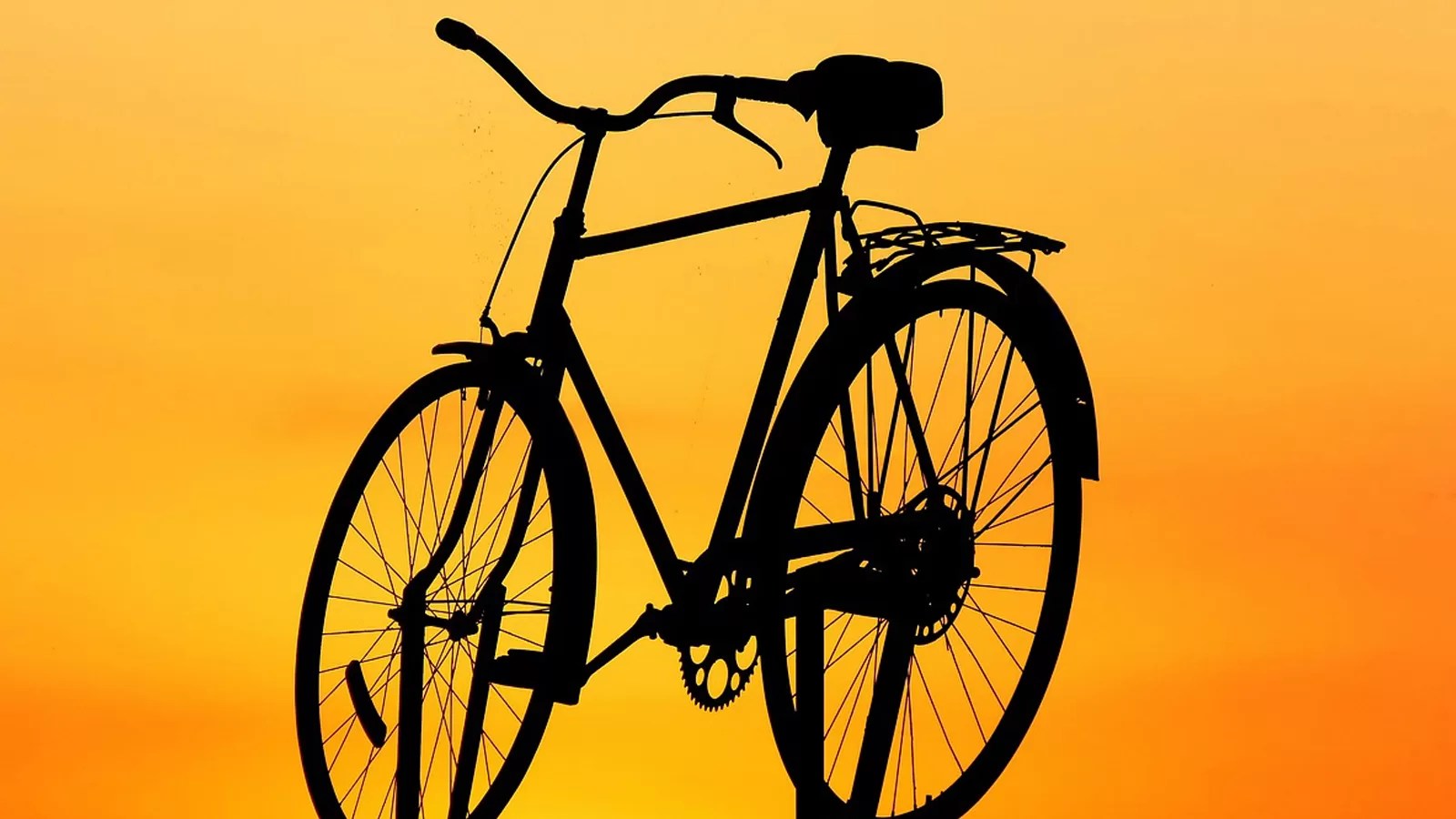 When bikes were invented? A Journey into the Birth of Bikes!!