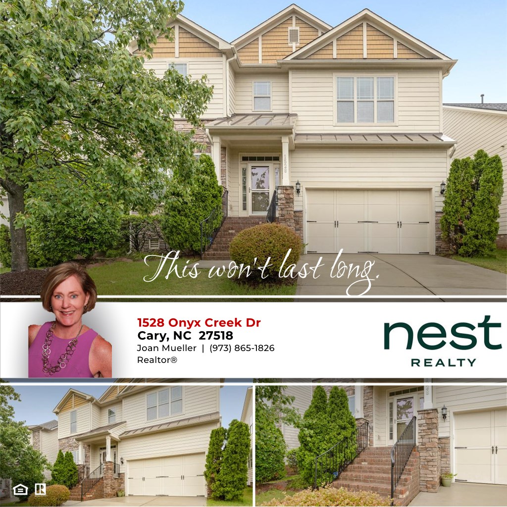 1528 Onyx Creek Dr, Cary, NC 27518