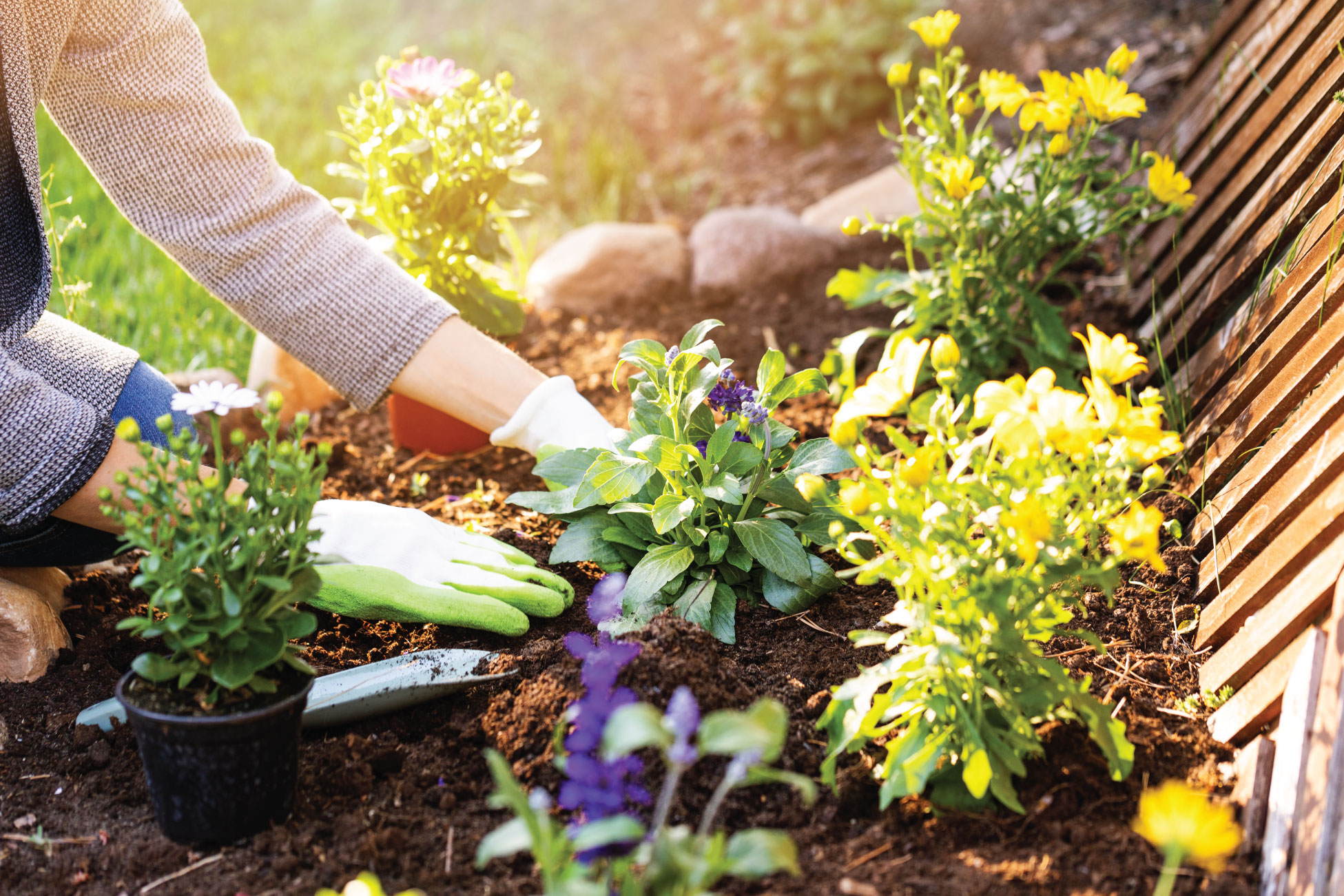 Texas Home & Garden Show Fort Worth 2023 May Fort Worth — Home And Garden Shows
