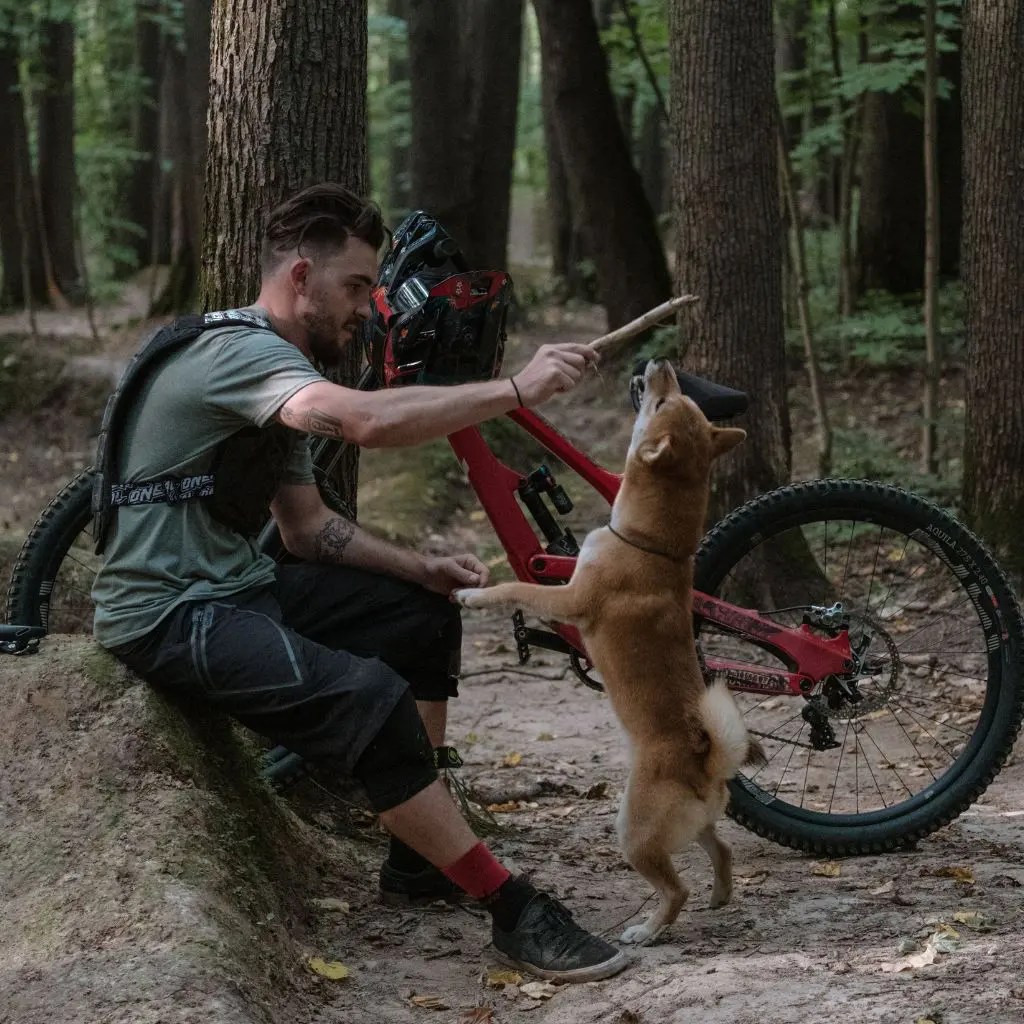 What are the best dogs to take mountain biking? SHRED TRAIL