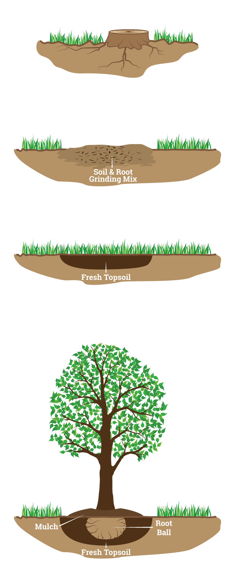 Tree Removal Services in PA Residential and Commercial