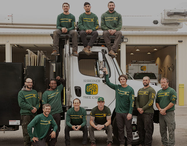 Tree Service Jobs PA Shreiner Tree Care Join the Best