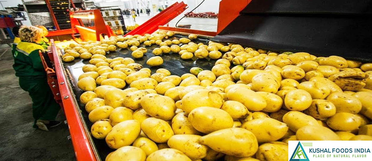 Potato Chips Manufacturers in Kerala Chips Manufacturers in Kerala