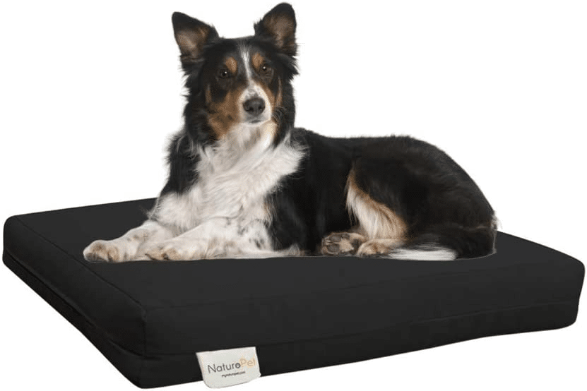The Best Eco Friendly Dog Beds Top 7 Shrink That Footprint