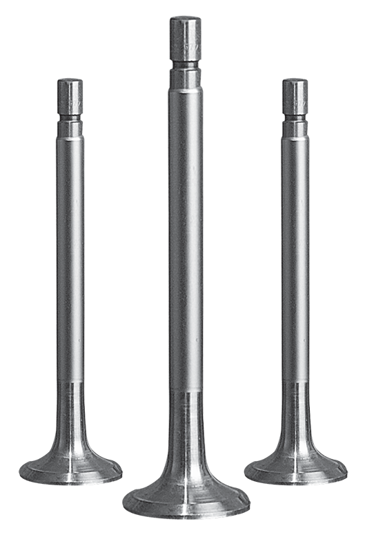 Homepage Shriram Pistons