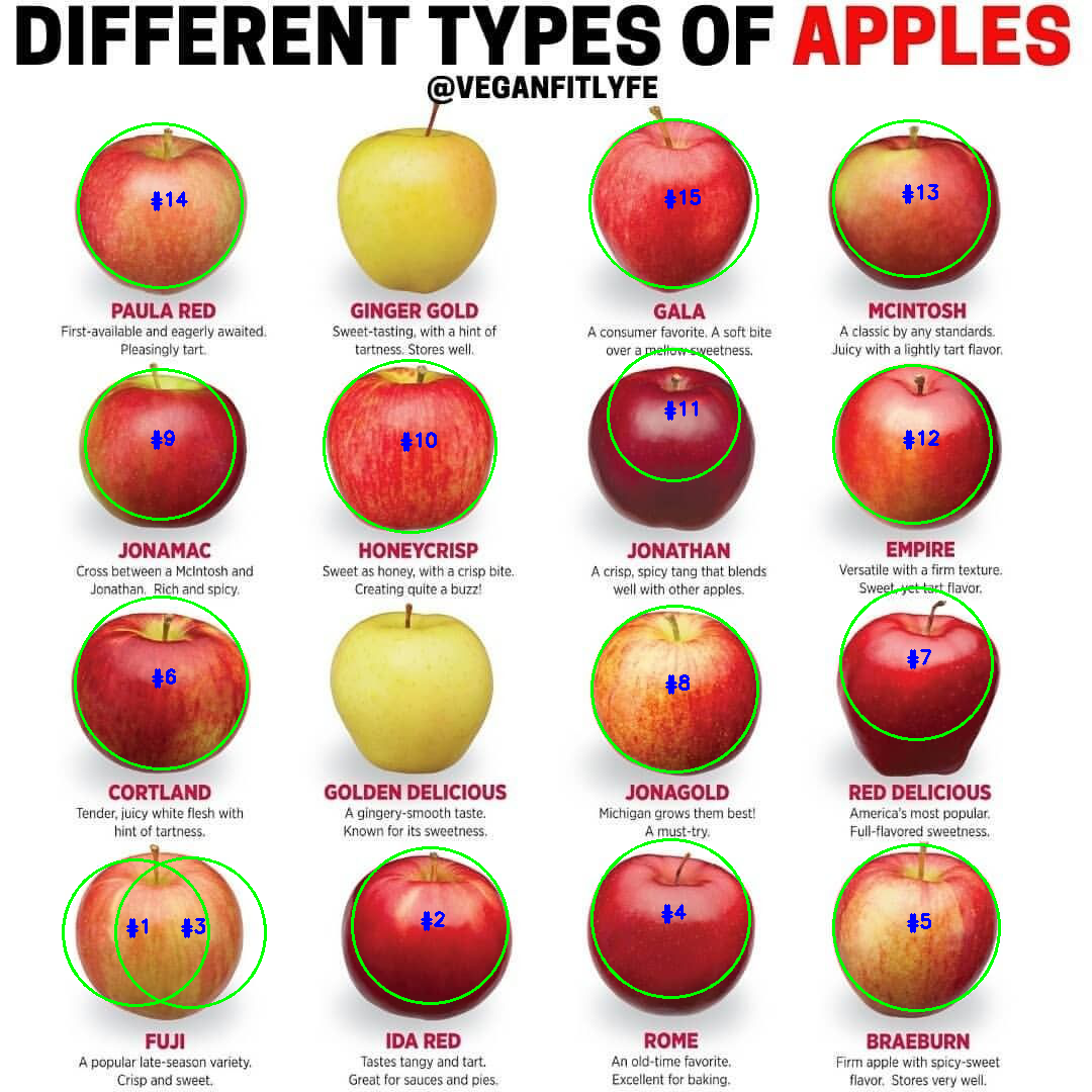 [OpenCV] Detecting and Counting Apples in Real World Images using
