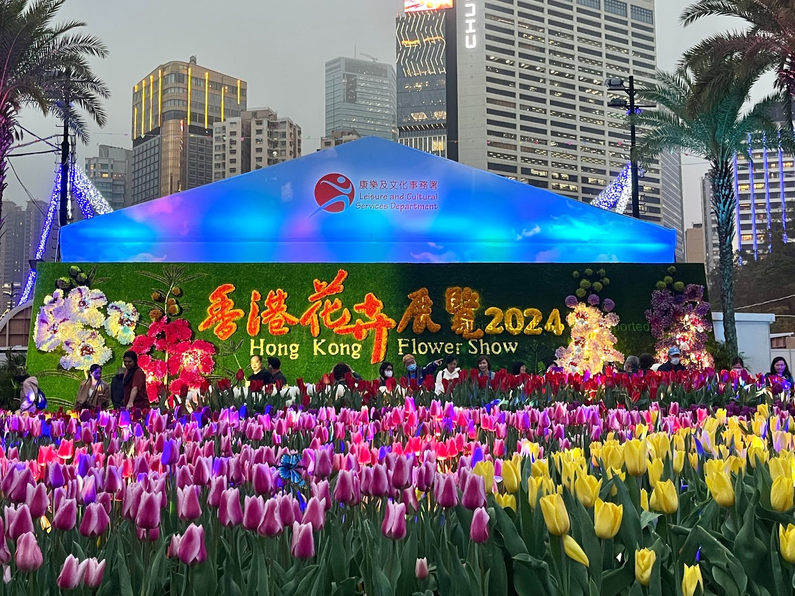 Urban Oasis Hong Kong Flower Show Offers Delight for Visitors Shroffed