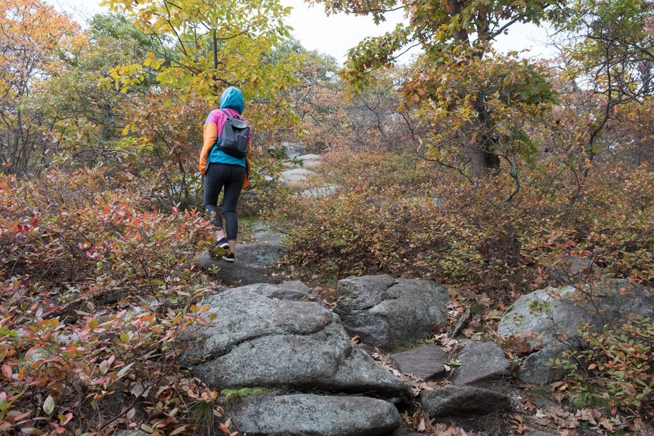 Storm King Mountain Loop Trail Hiking Review